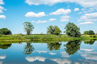 Nároky na převozníky na Labi se zmírní, v Dolním Žlebu přívoz opět vypluje