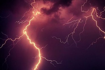 Hasiči na jihu Čech po bouřkách odklízeli popadané stromy a větve