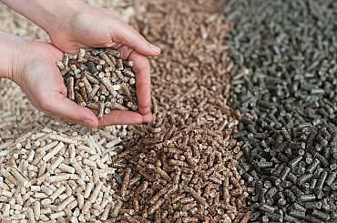 Difficult and costly energy transition unless the EU invests in biomass