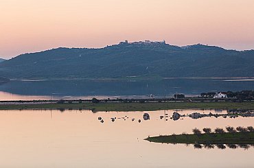 Plávajúca fotovoltika je in. Skúmali jej dopady na ekosystémy