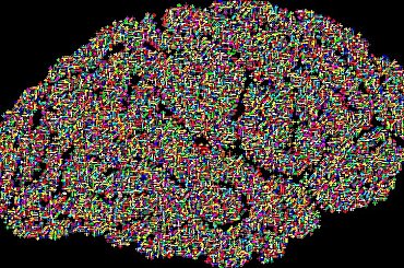 Výzkum organických počítačů postupuje, praktické využití je ale daleko