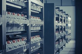 Spotřeba elektřiny v Číně loni stoupla o pět procent na rekord