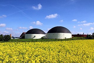 IEA: Střední a východní Evropa nevyužívá svůj obrovský potenciál obnovitelných plynů